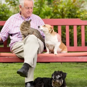 Os 5 melhores pets para pessoas mais velhas e idosos