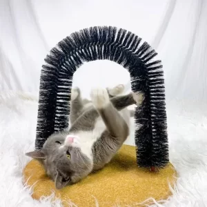 Veja 7 dicas para evitar bolas de pêlo em gatos