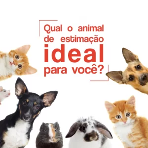 O Guia Definitivo para Escolher o Pet Perfeito
