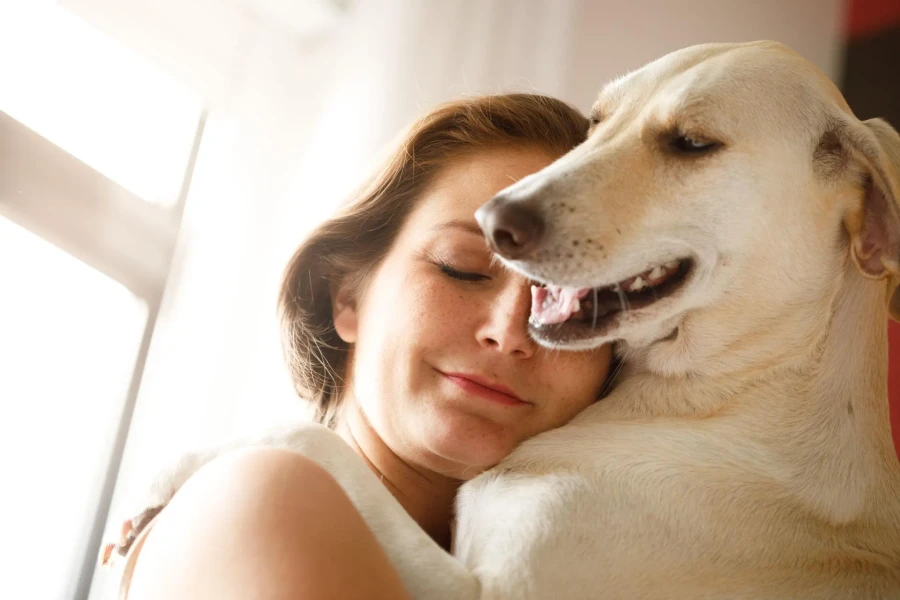 Sinais de que seu cachorro está com medo